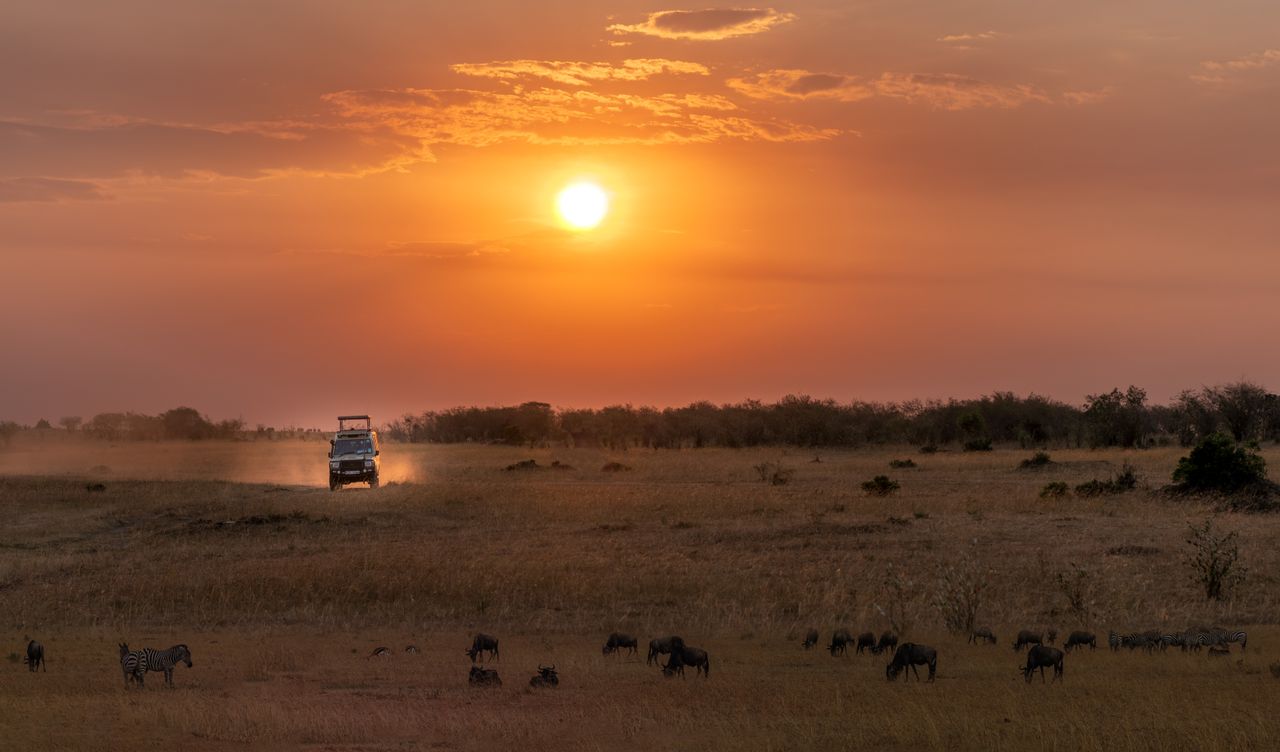 Home A stunning safari adventure at sunset with wildlife in the African savannah, showcasing natural beauty.